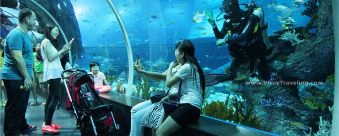 SEA Aquarium Singapore