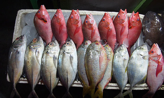 seafood-kupang