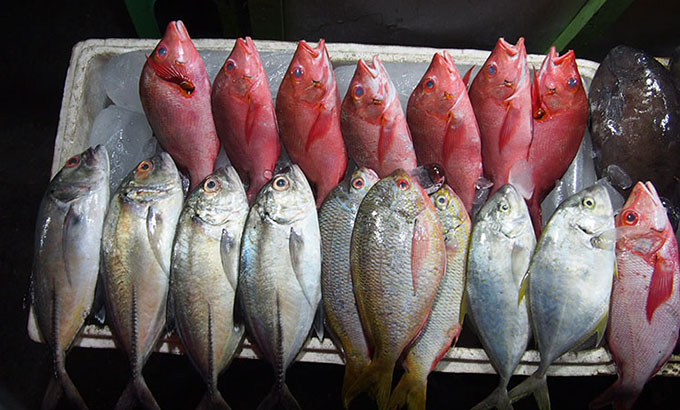 seafood-kupang